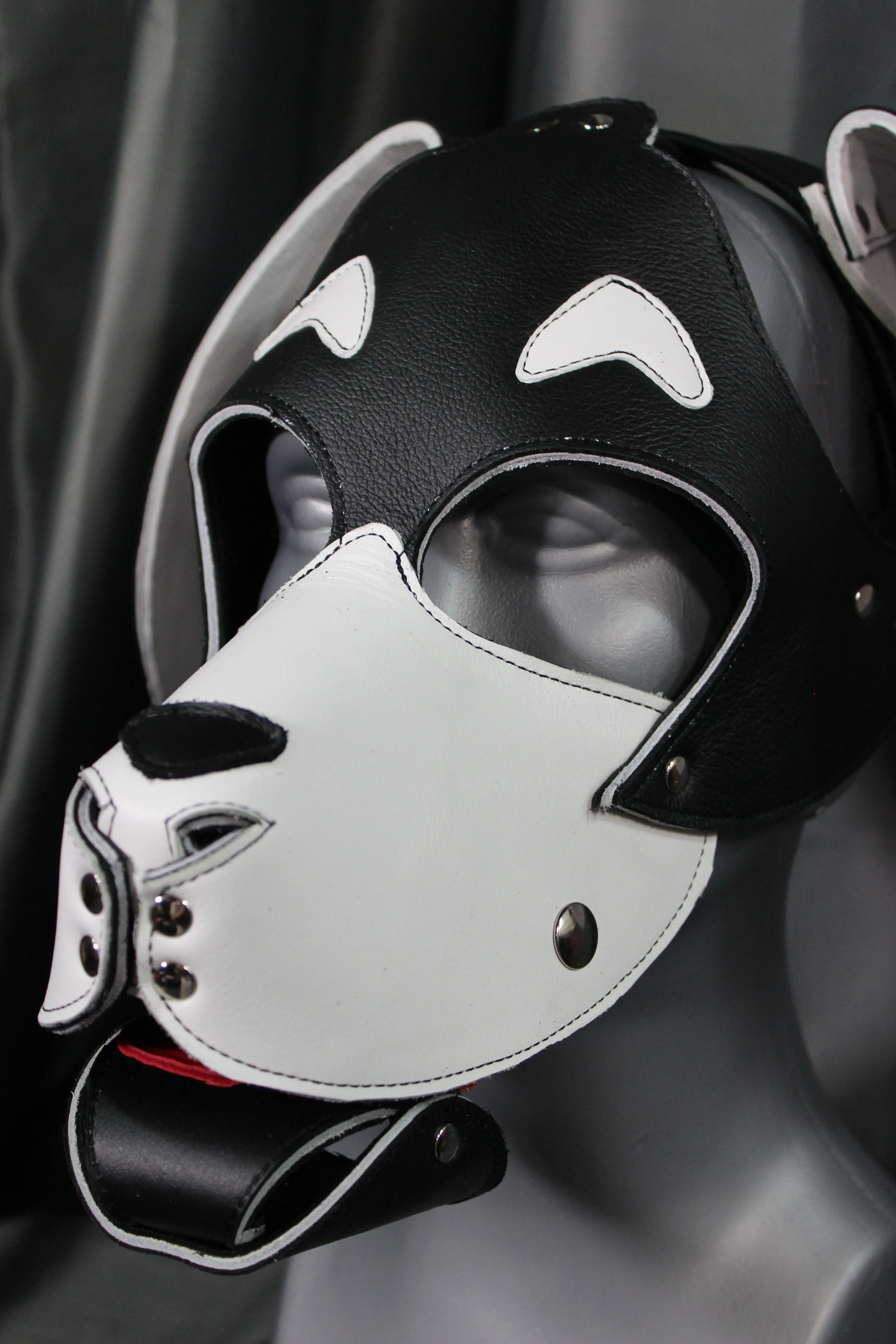 Basset Hound Style Pup Hood in Black and White