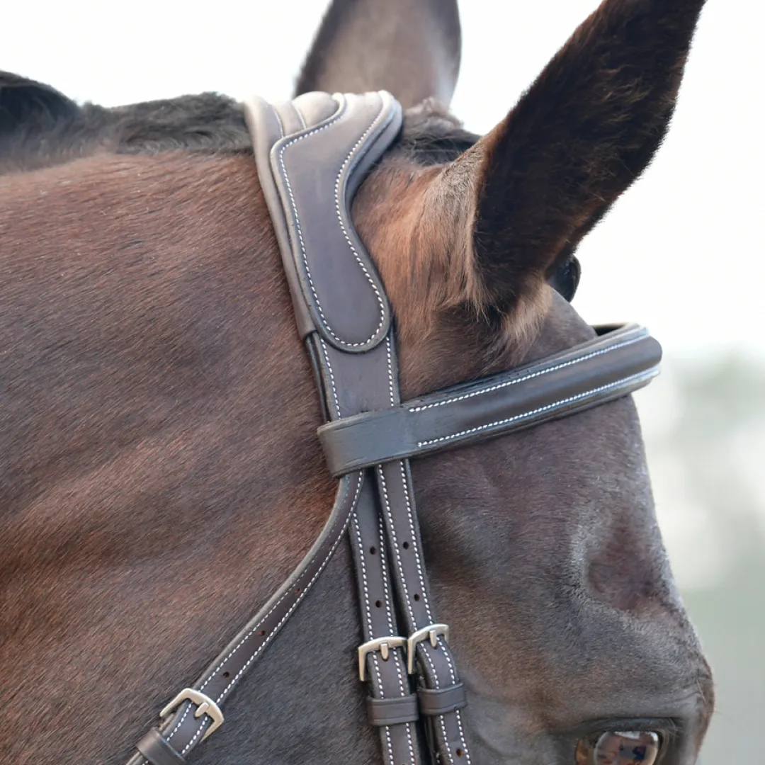 Collegiate Comfitec Opulux Fancy Stitch Padded Hanoverian Bridle