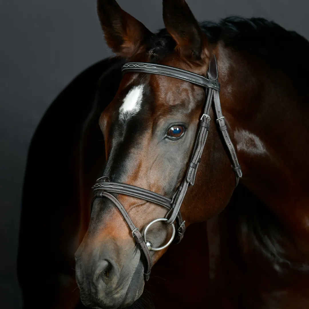 Collegiate Comfitec Opulux Fancy Stitch Padded Hanoverian Bridle