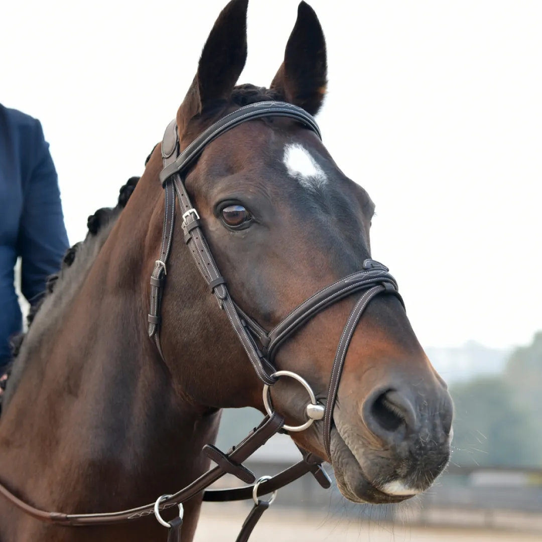 Collegiate Comfitec Opulux Fancy Stitch Padded Hanoverian Bridle