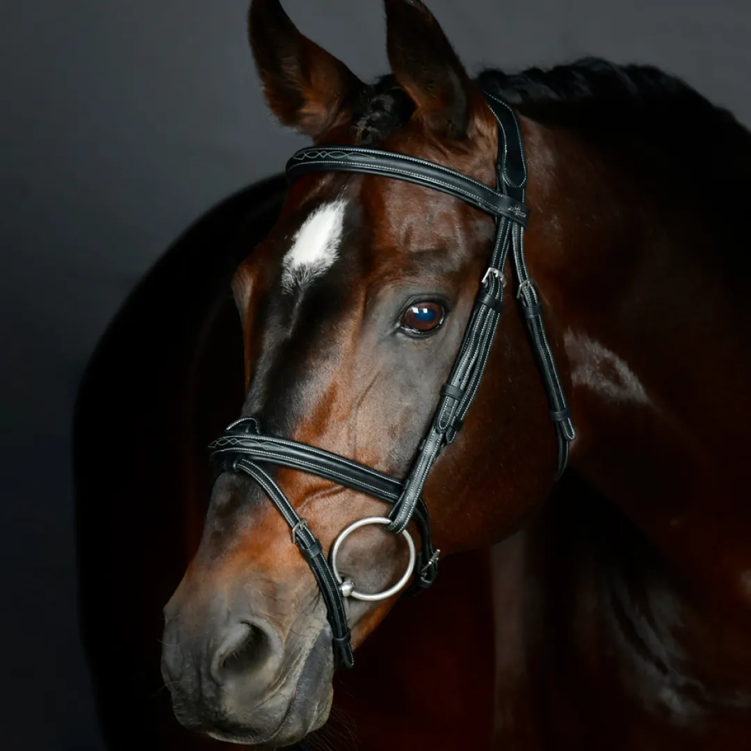 Collegiate Comfitec Opulux Fancy Stitch Padded Hanoverian Bridle