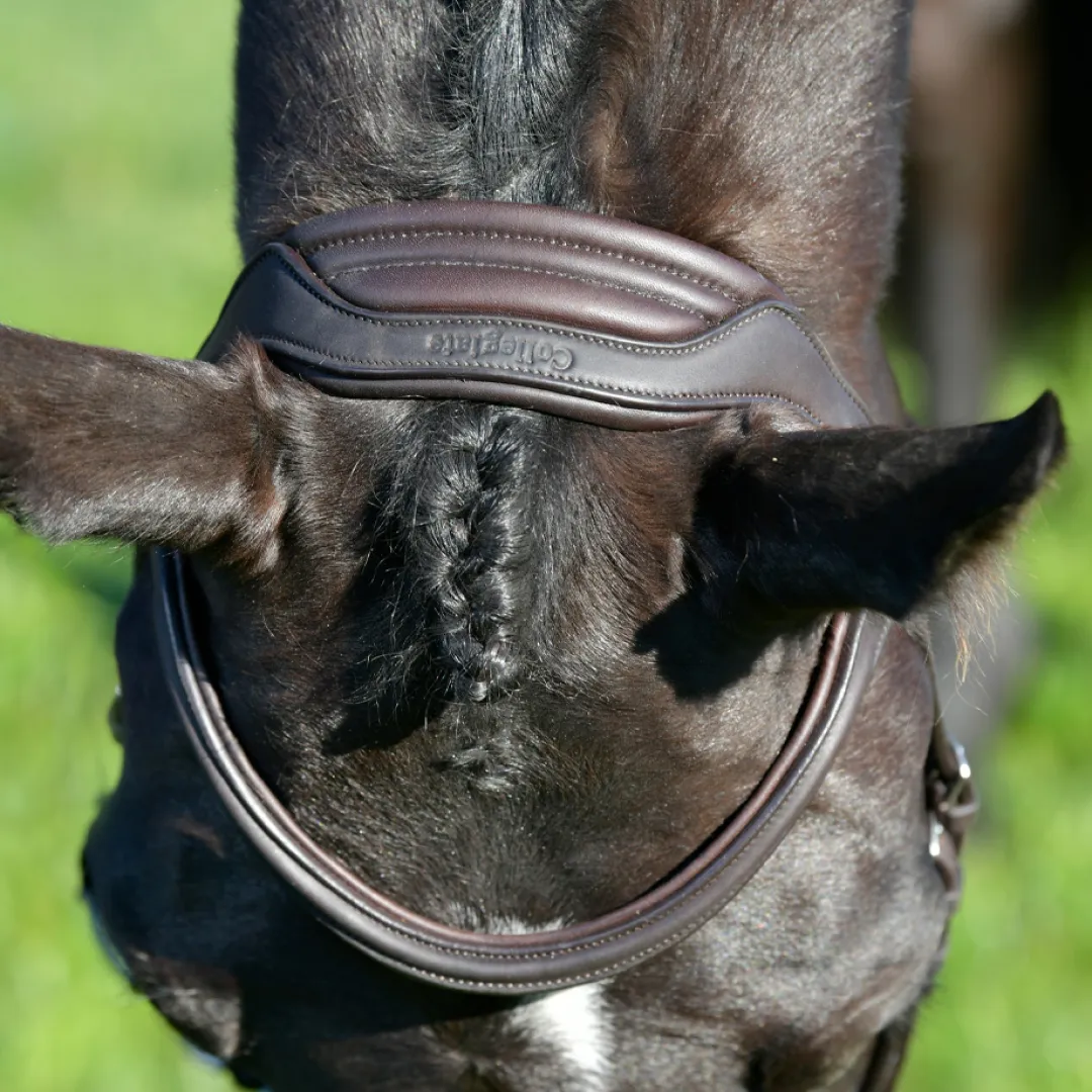 Collegiate Comfitec Opulux Plain Padded Hanoverian Flash Bridle