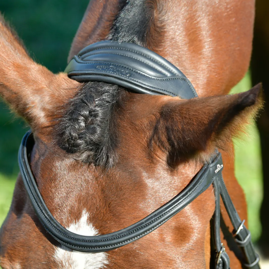 Collegiate Comfitec Opulux Plain Padded Hanoverian Flash Bridle