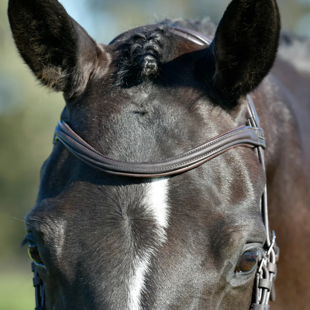 Collegiate Comfitec Opulux Plain Padded Hanoverian Flash Bridle