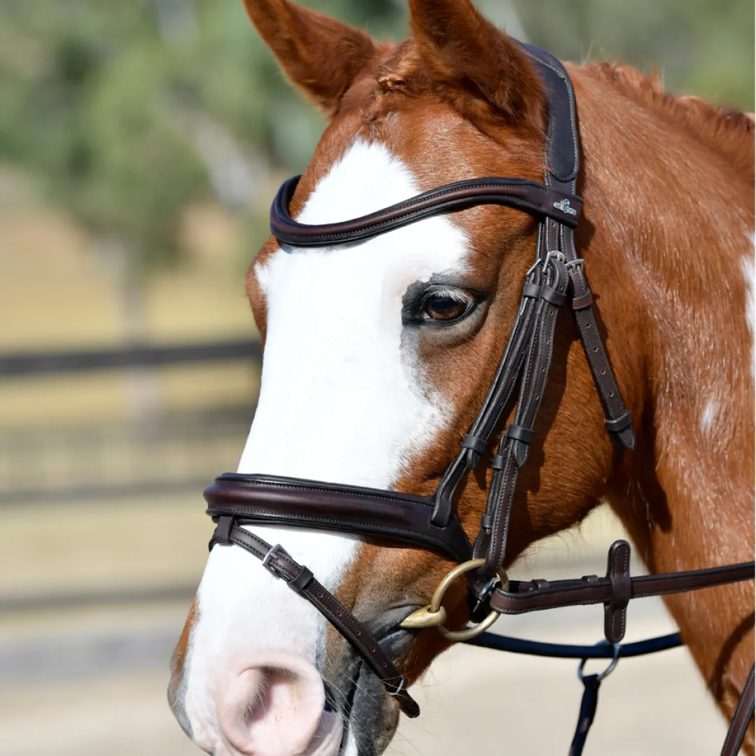 Collegiate Comfitec Opulux Plain Padded Hanoverian Flash Bridle