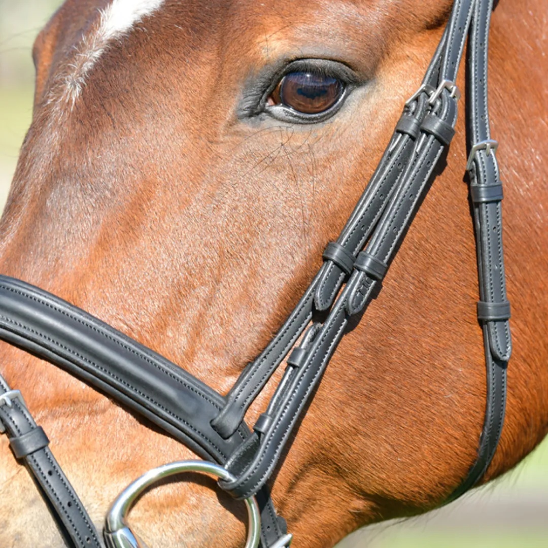 Collegiate Comfitec Opulux Plain Padded Hanoverian Flash Bridle