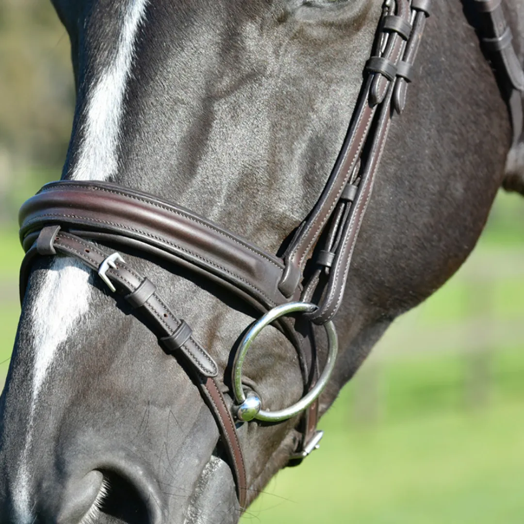 Collegiate Comfitec Opulux Plain Padded Hanoverian Flash Bridle