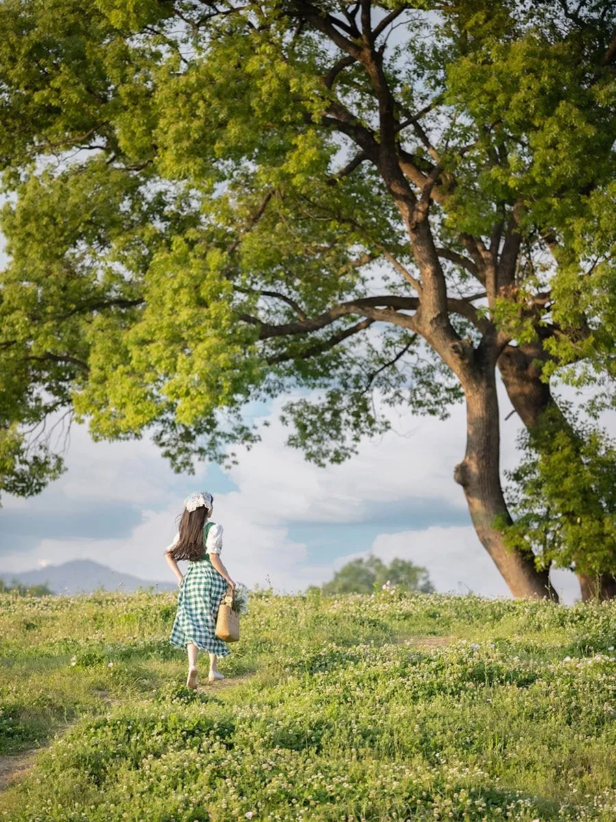 Cottage Green Plaid Dress S-XL