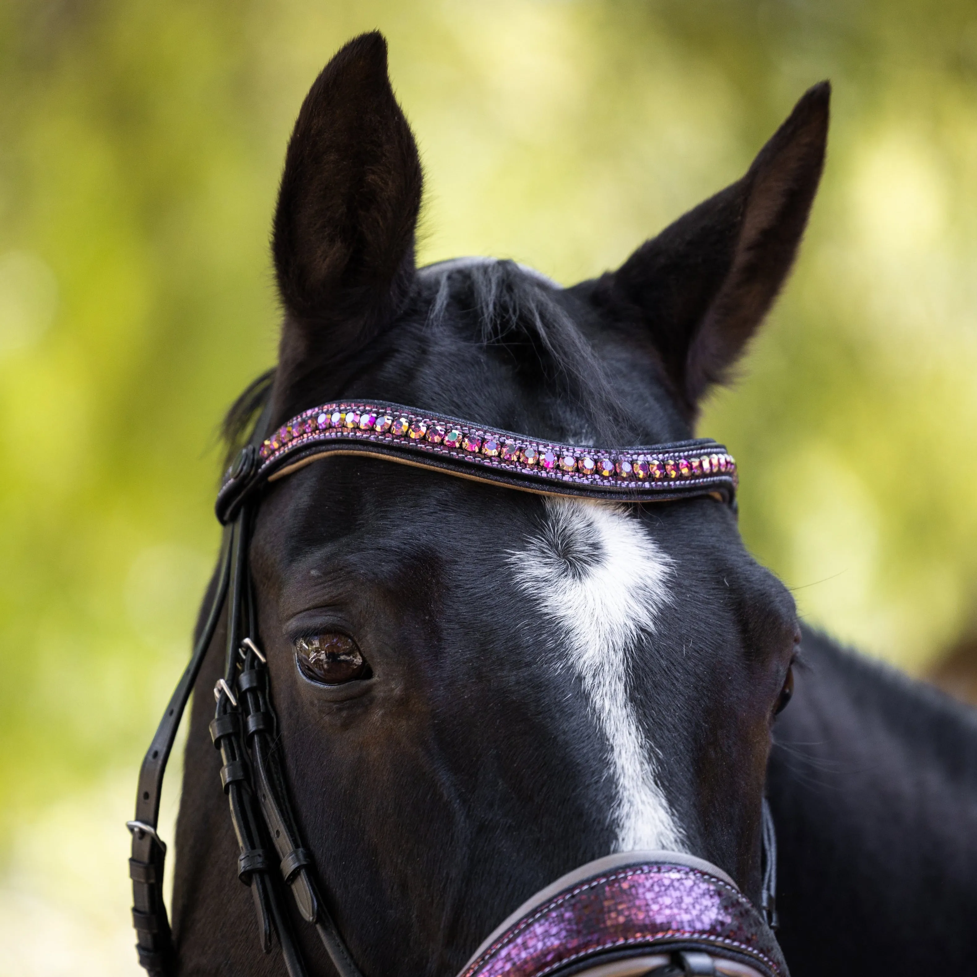 Limited Edition Cosmopolitan Snaffle Bridle