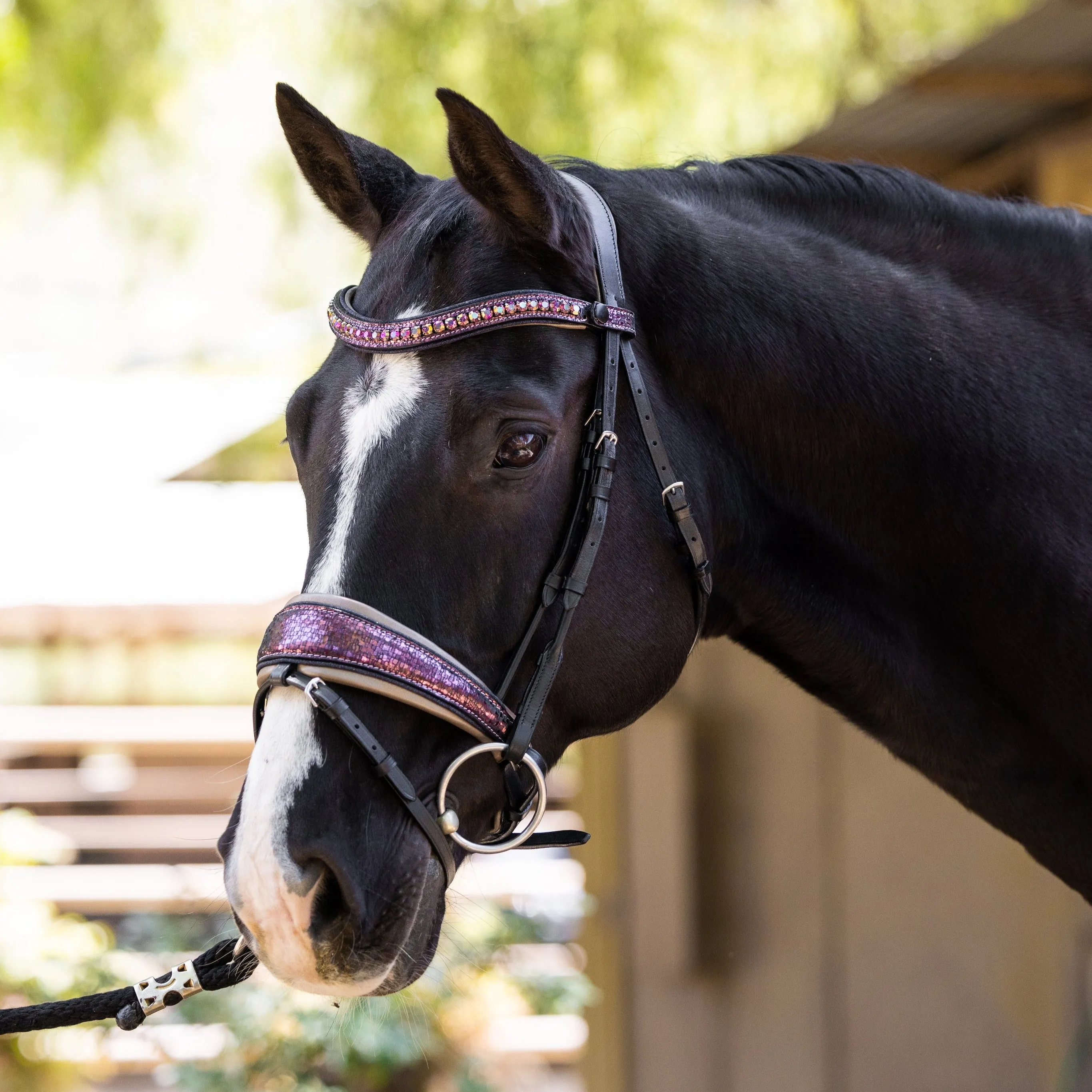 Limited Edition Cosmopolitan Snaffle Bridle