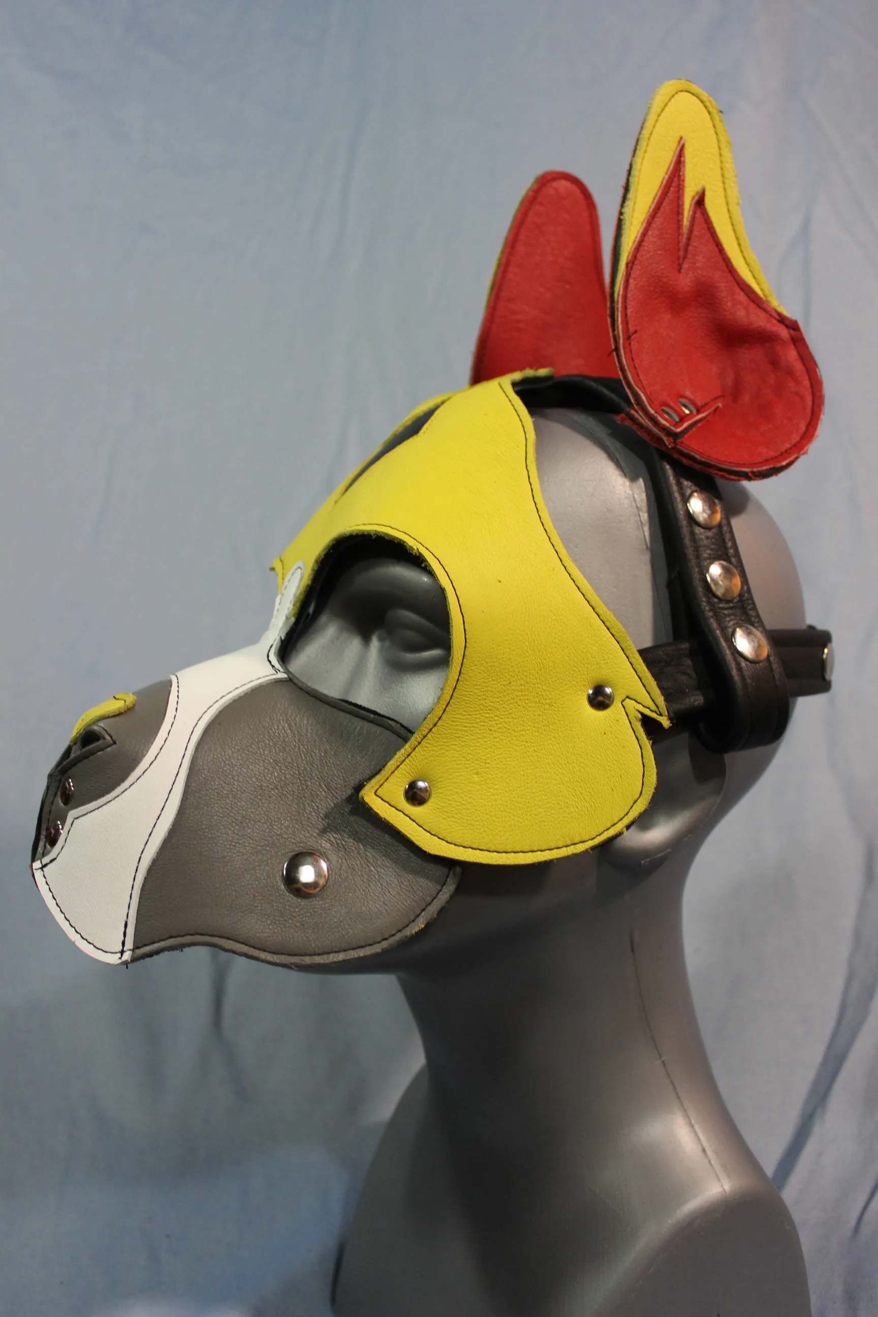 Our "Fire Box" Boxer style Pup hood in red and yellow