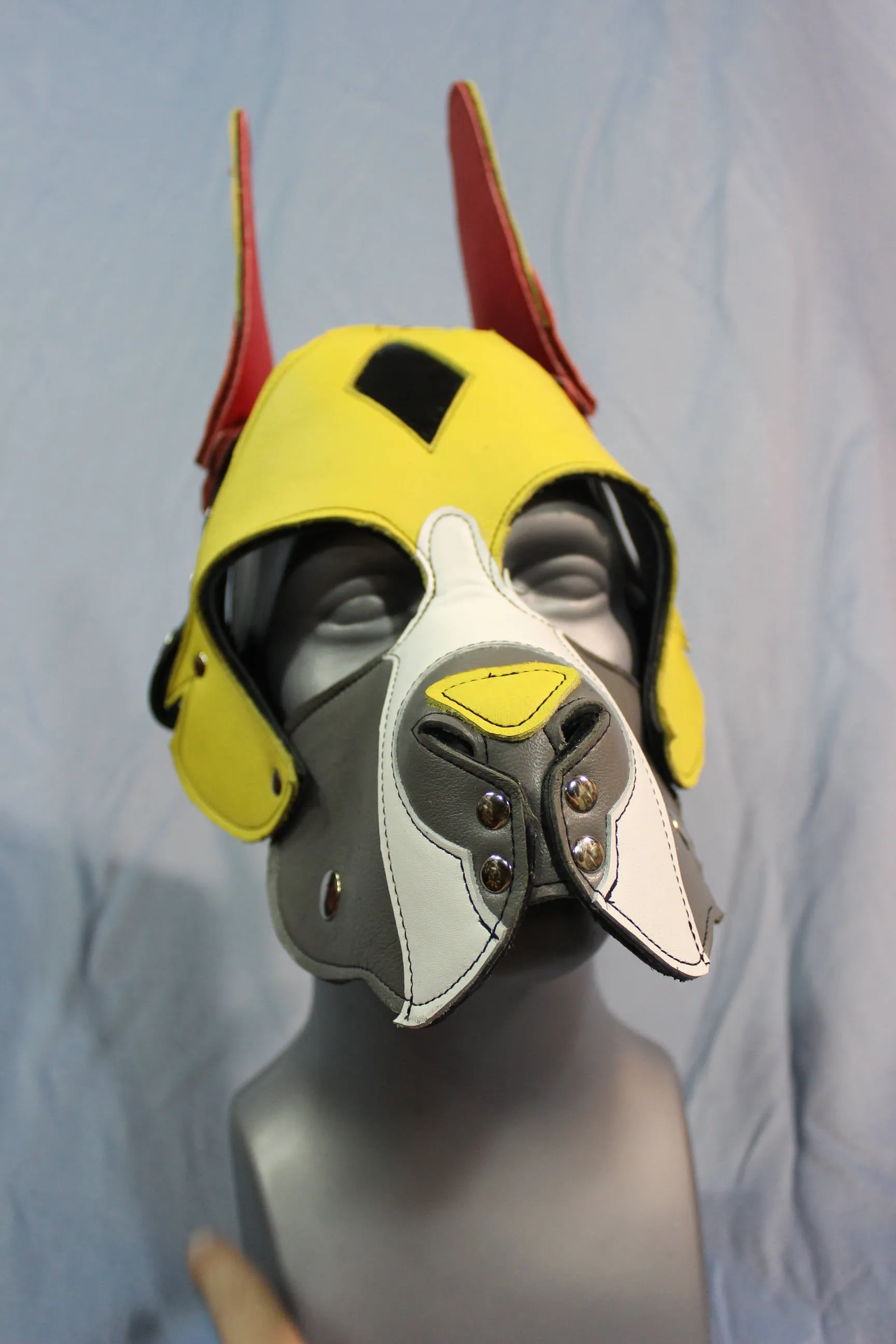 Our "Fire Box" Boxer style Pup hood in red and yellow