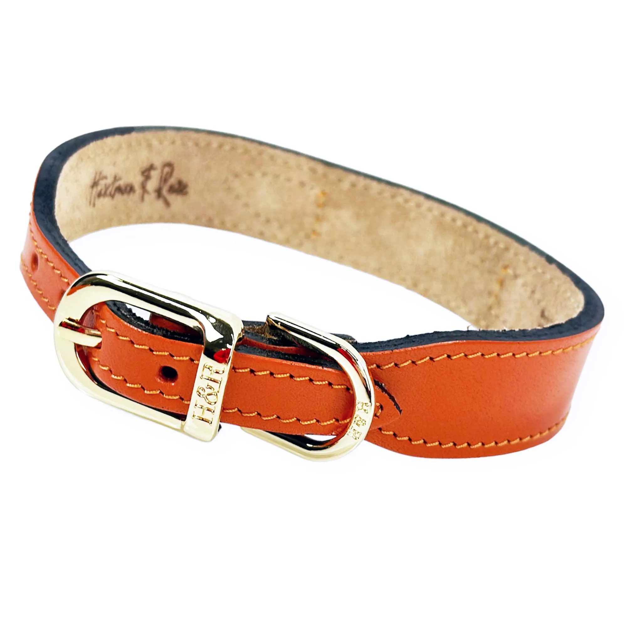 Regency Dog Collar in Tangerine & Gold