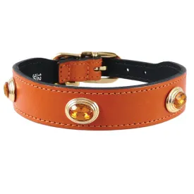 Royal Dog Collar in Tangerine & Gold