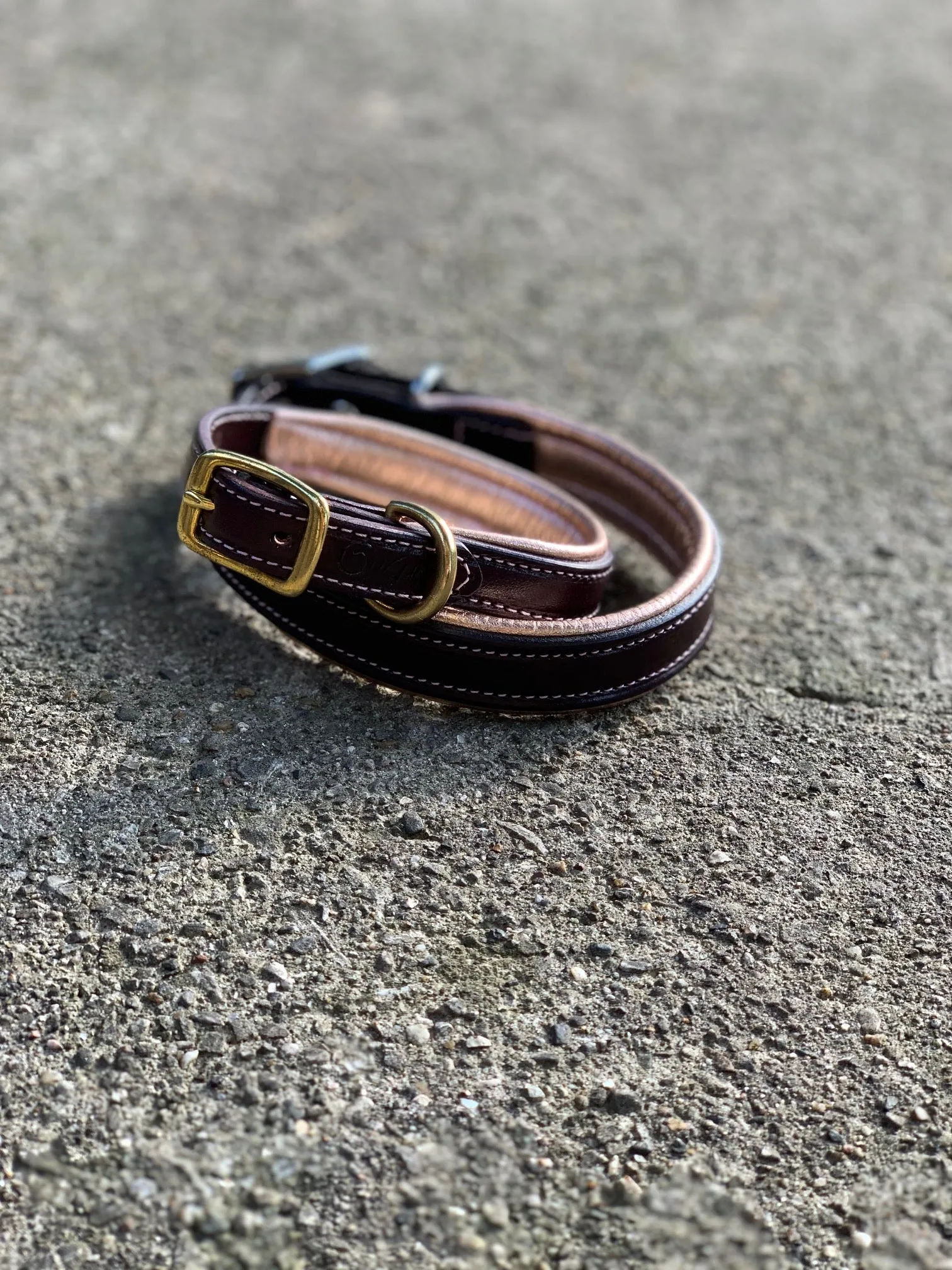 Signature Dog Collar - S7000